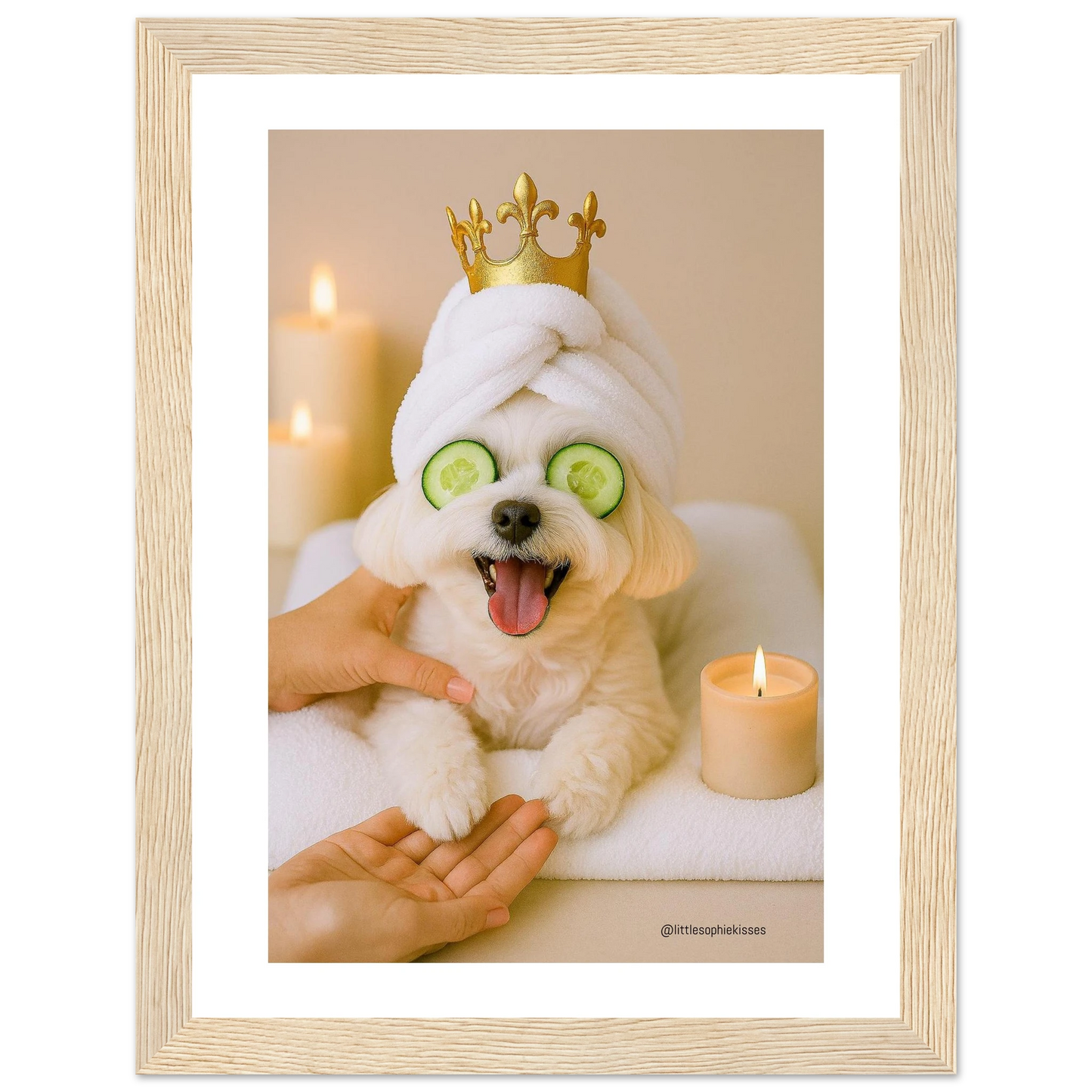 a657722b-91c7-4323-904d-2ea3b2da2a3e