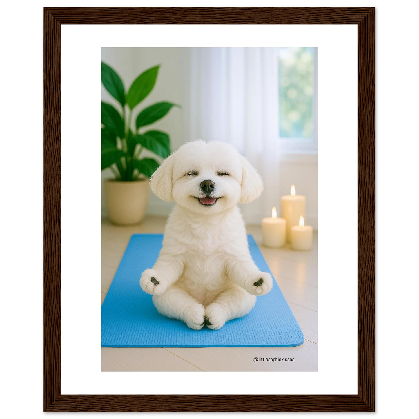 a77090e6-c88c-4e86-ae8c-d1219dc8d6d4