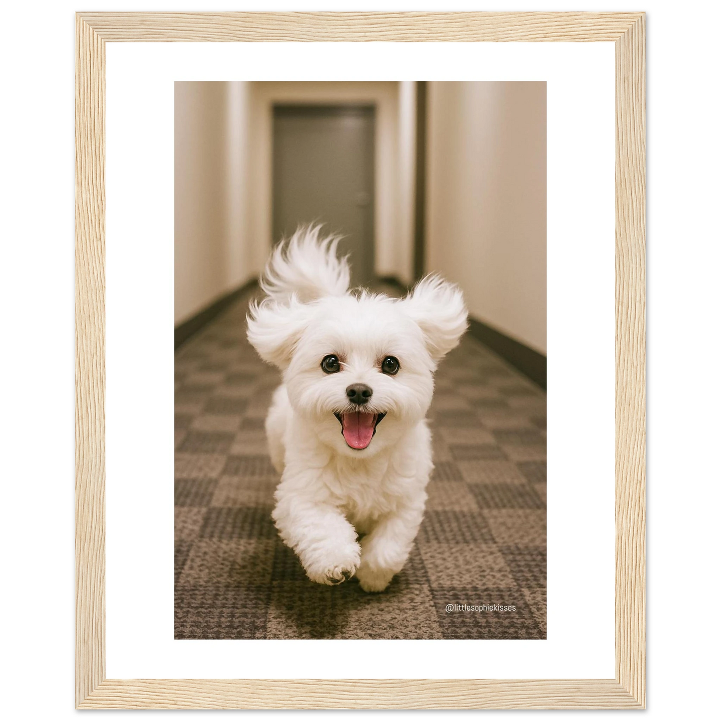 a8a7b121-a39c-4f81-93a5-7b44411c2f90