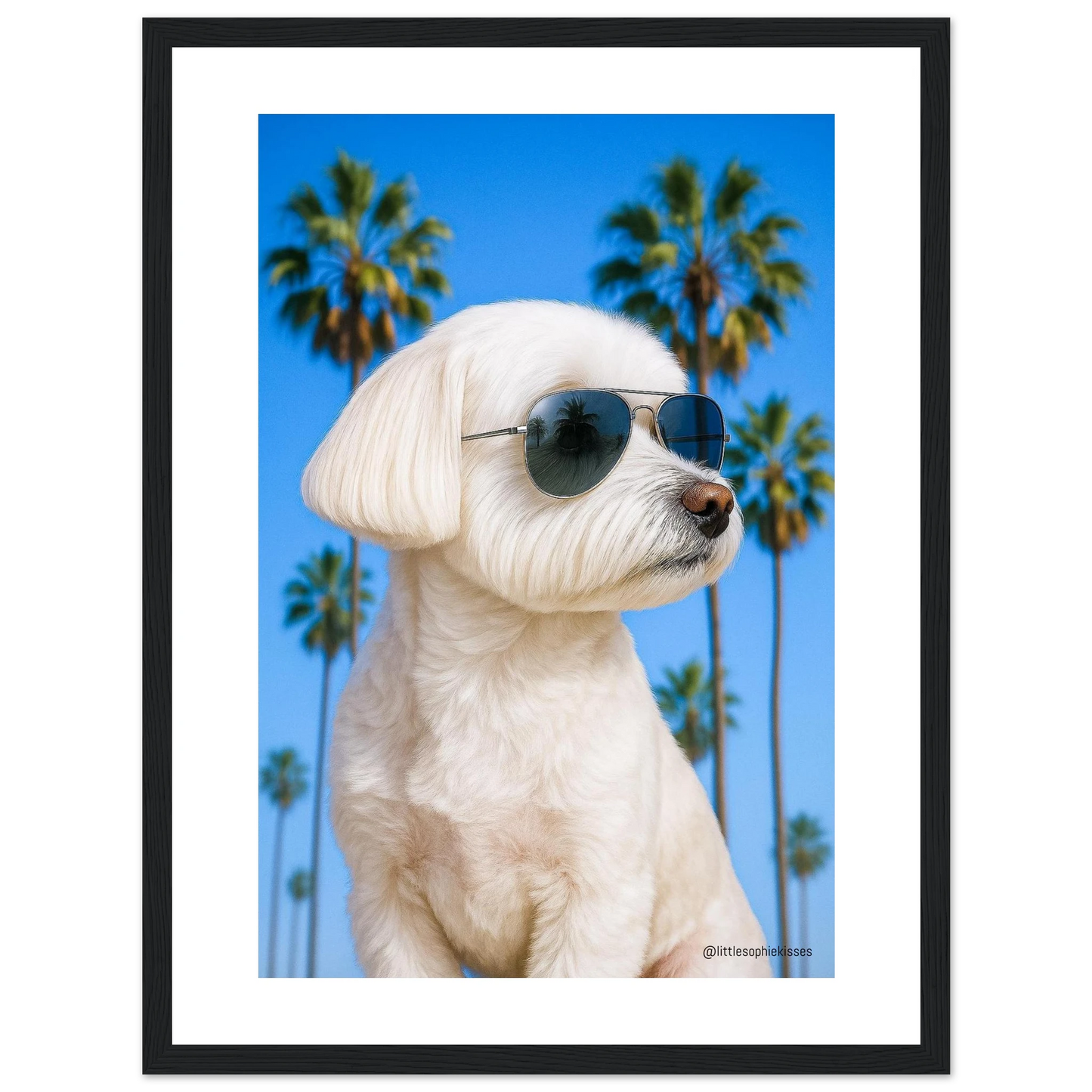 b06fd039-bd8f-4ae0-bfcc-5099a88d215e