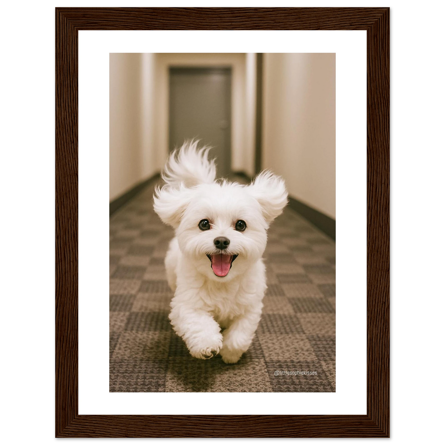 b1b9dd19-bcd7-4151-adda-7bf939a8442b