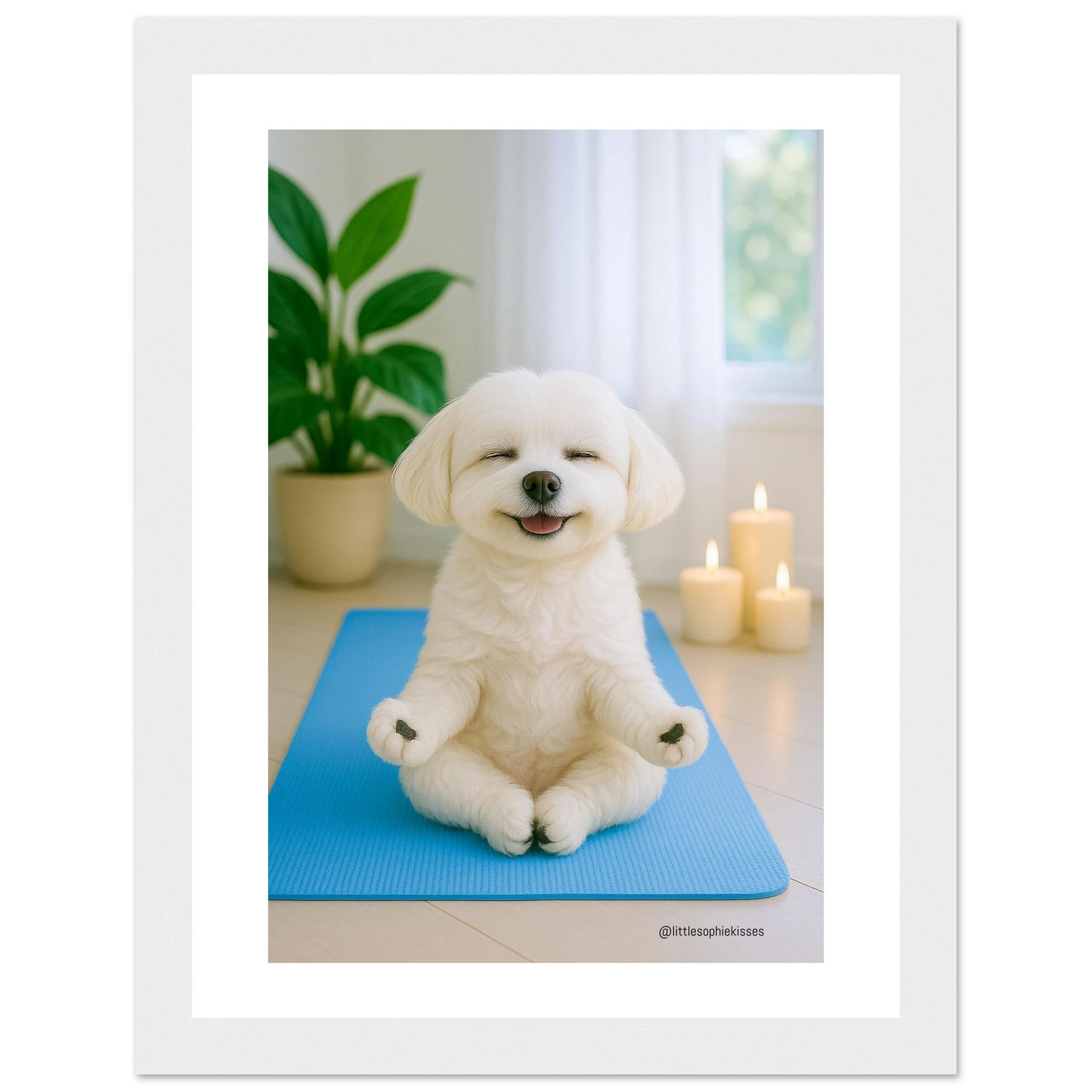 b2ad5bb7-7446-42e3-9dd8-35a5c195f6ce