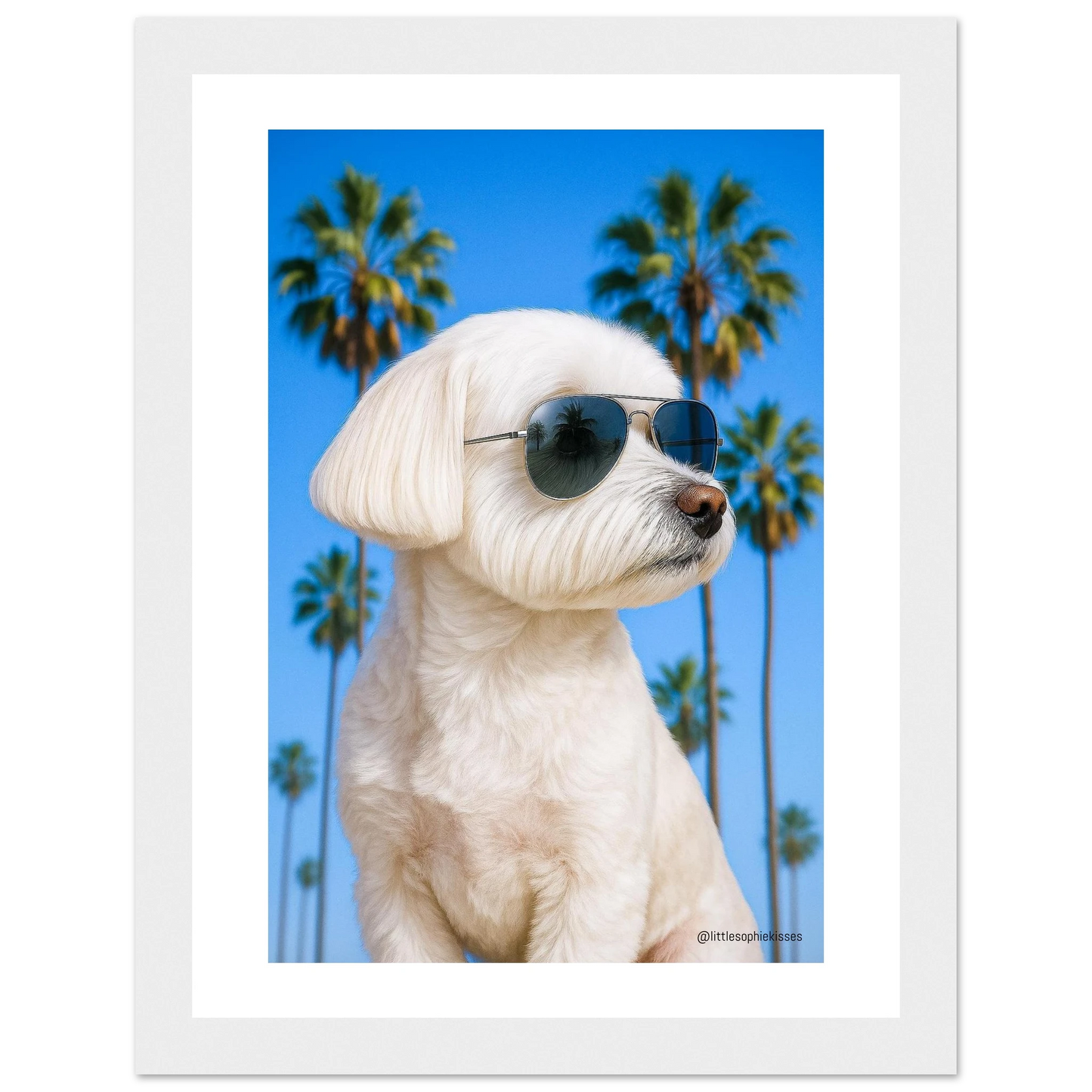 b2c1a986-35d4-48a4-ad9a-578cbaabd388