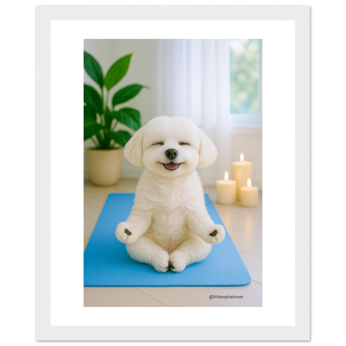 b36a4b94-12a2-48c2-a5b9-1f6e731bdfdb