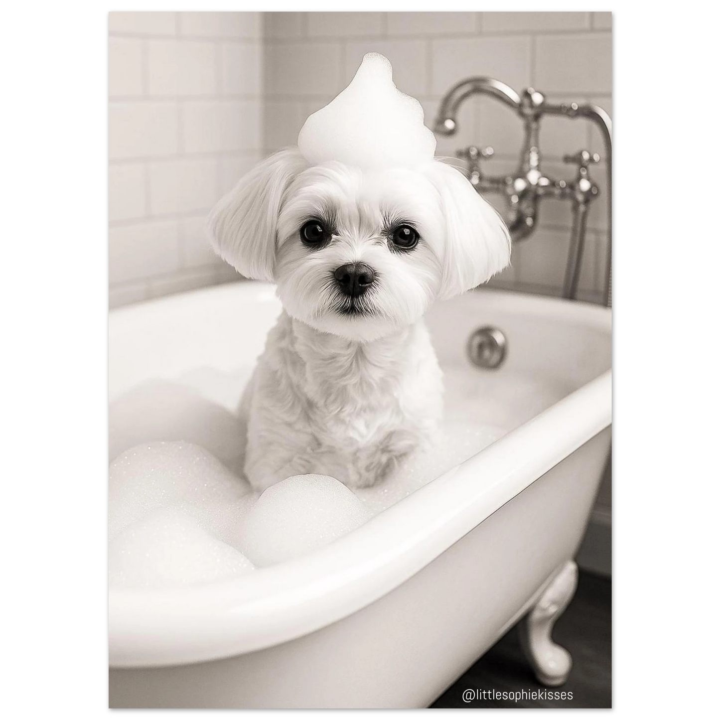 b4a8ff04-6736-461b-b561-2553a9618314