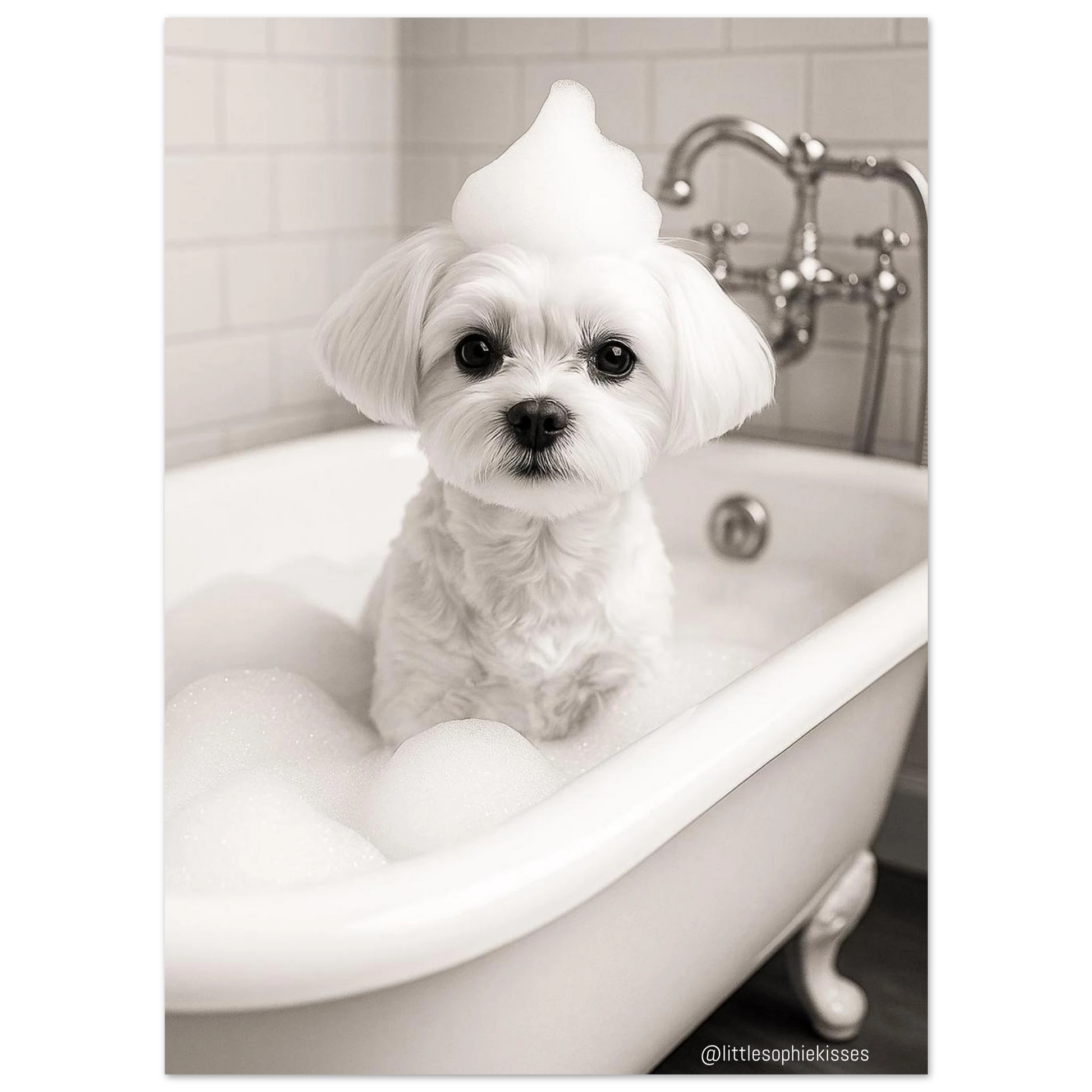 b4a8ff04-6736-461b-b561-2553a9618314