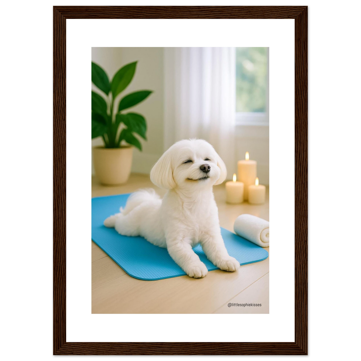 b5dbb976-e682-4e5d-8dc2-464eaa6db580