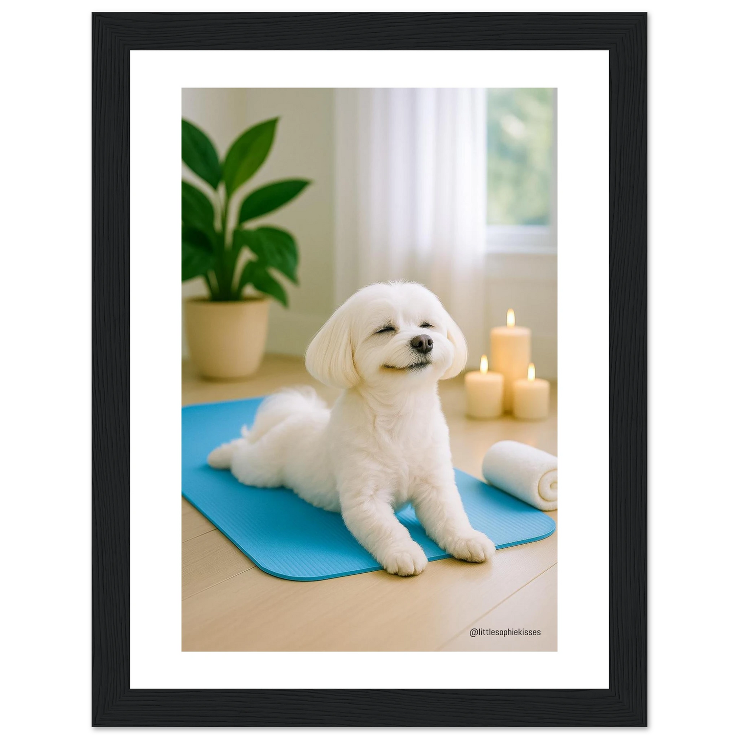 b6926d84-9a40-47c8-bf41-289403b06c34