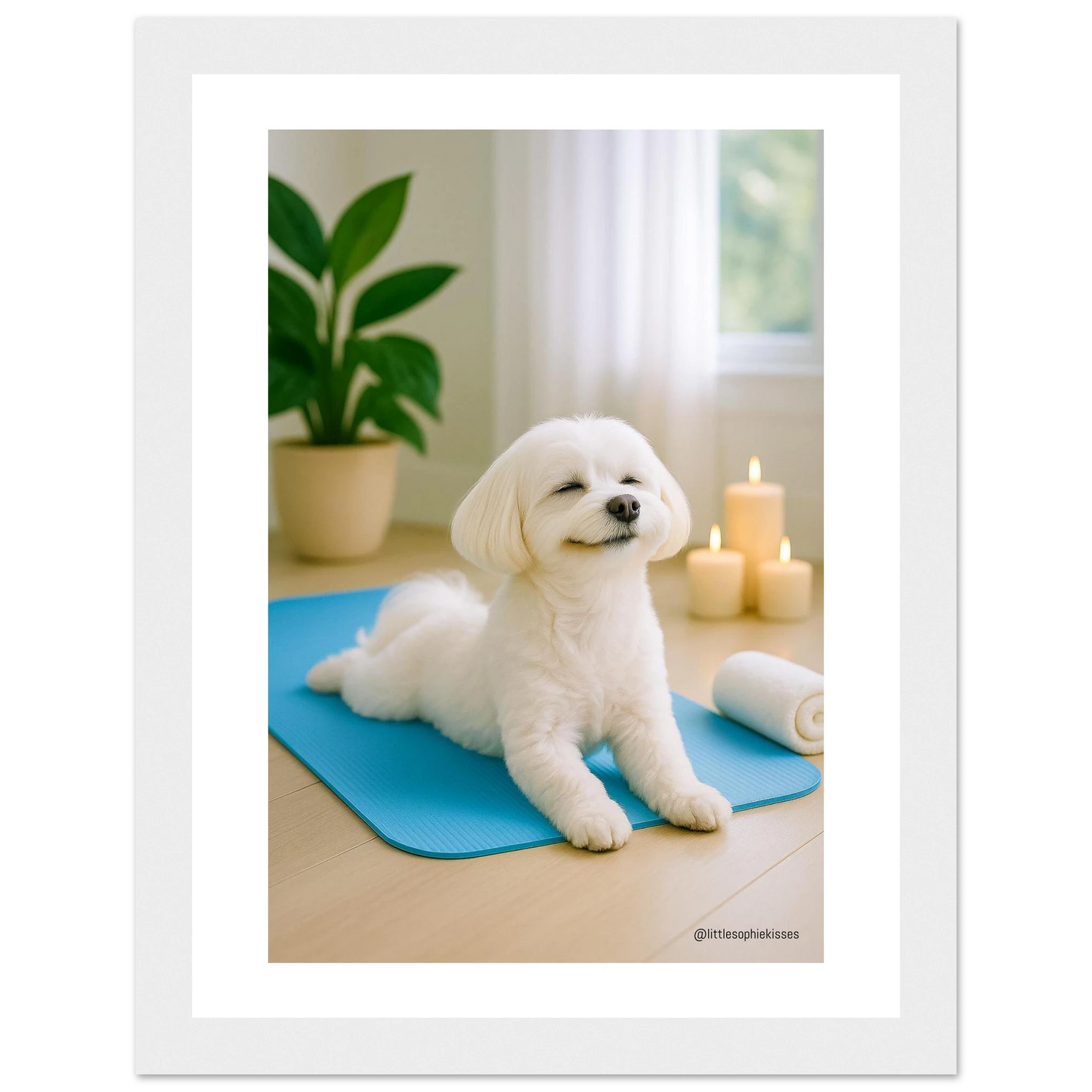 b73aaff5-f6f5-47b1-b102-899381f0237c