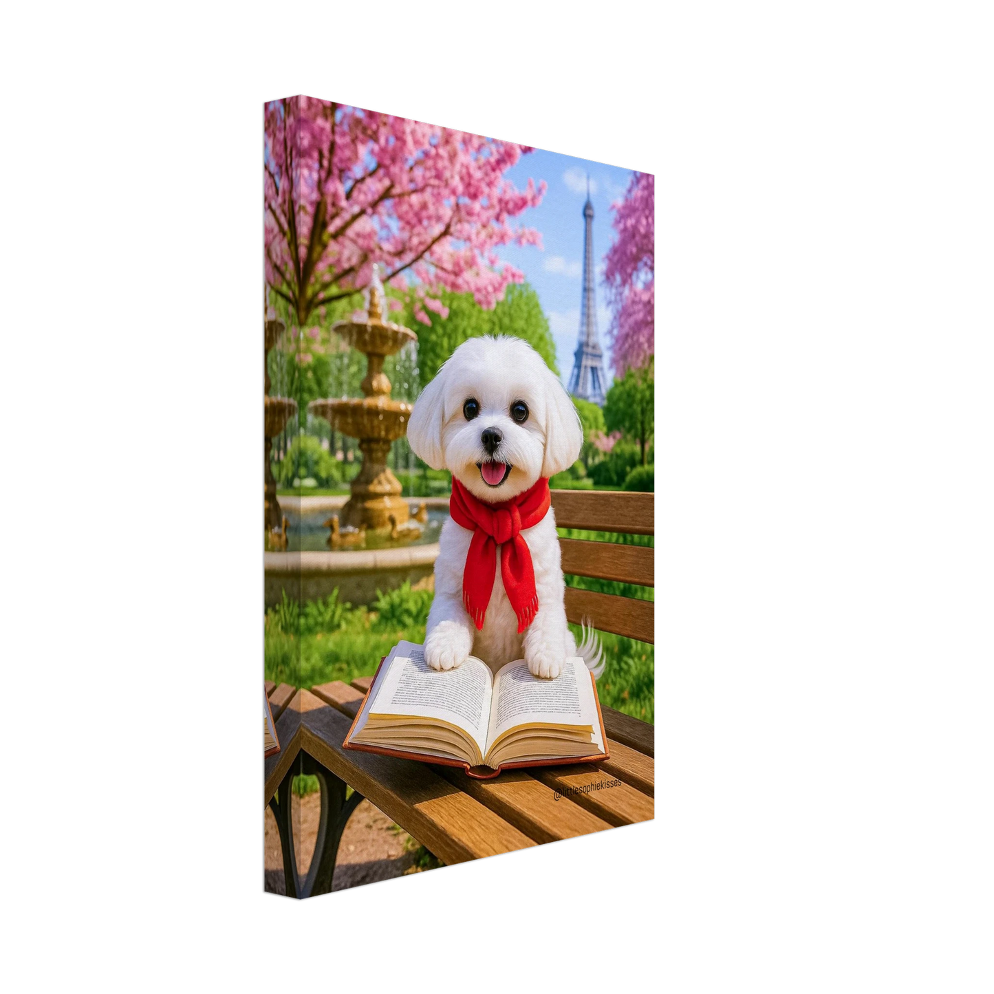 bb2a2c86-c492-4dd3-a4ad-6648f711bd58