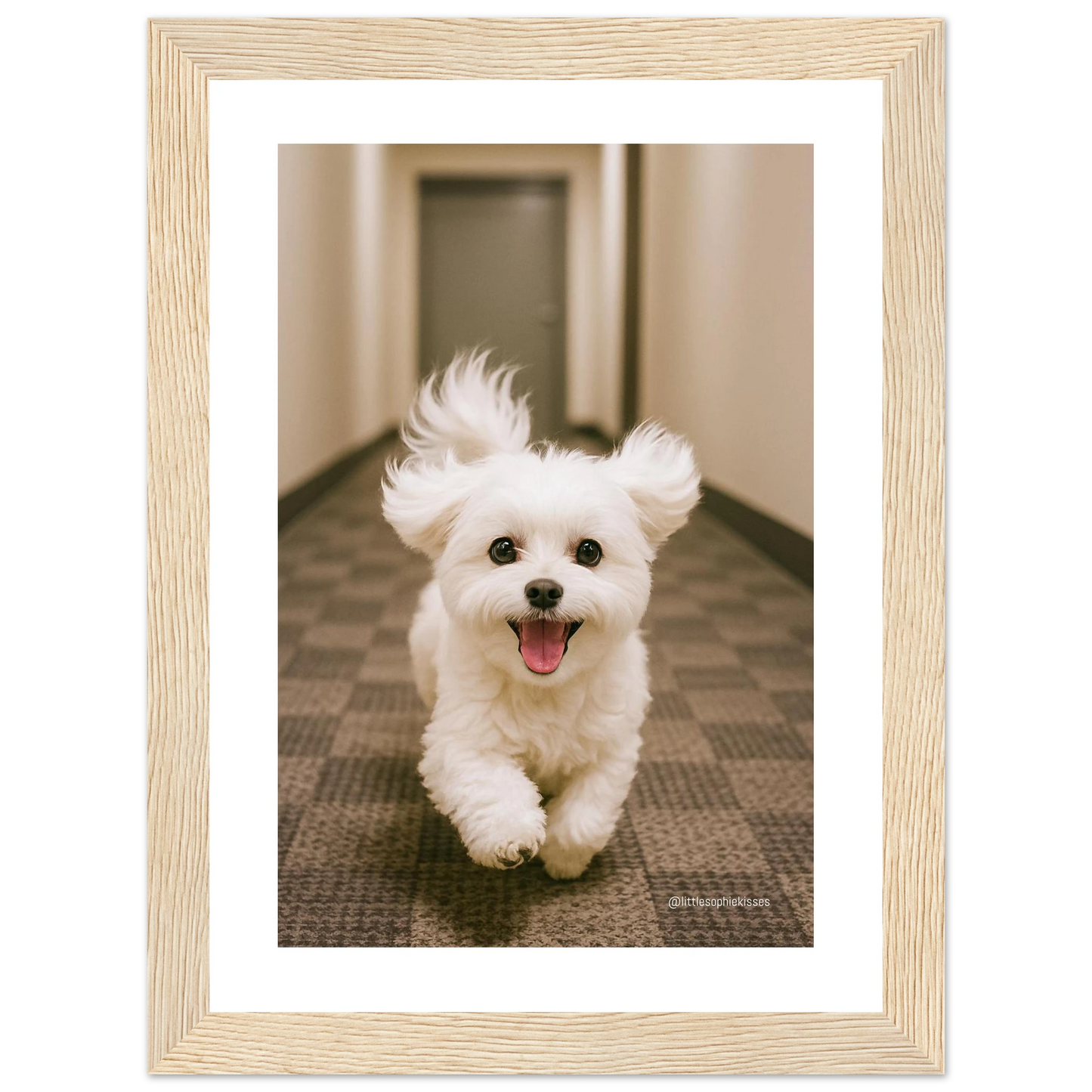 bba362fd-7f8e-449c-bbe4-23f41b39e74f