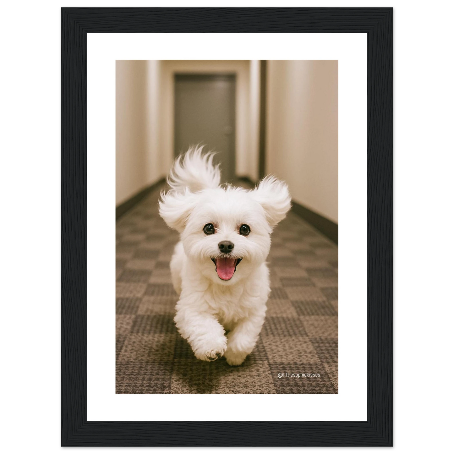 bc5251ff-79a9-40bf-a369-e22f470025cd