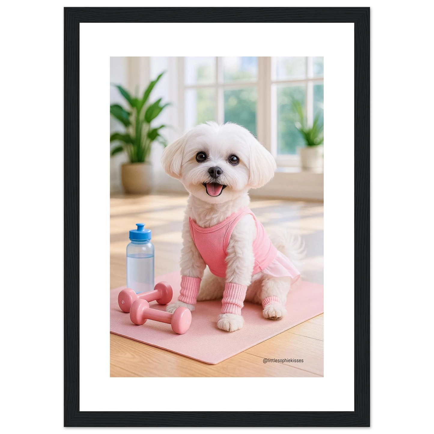 bc72a947-edbc-47a5-9023-ea36f468d75b