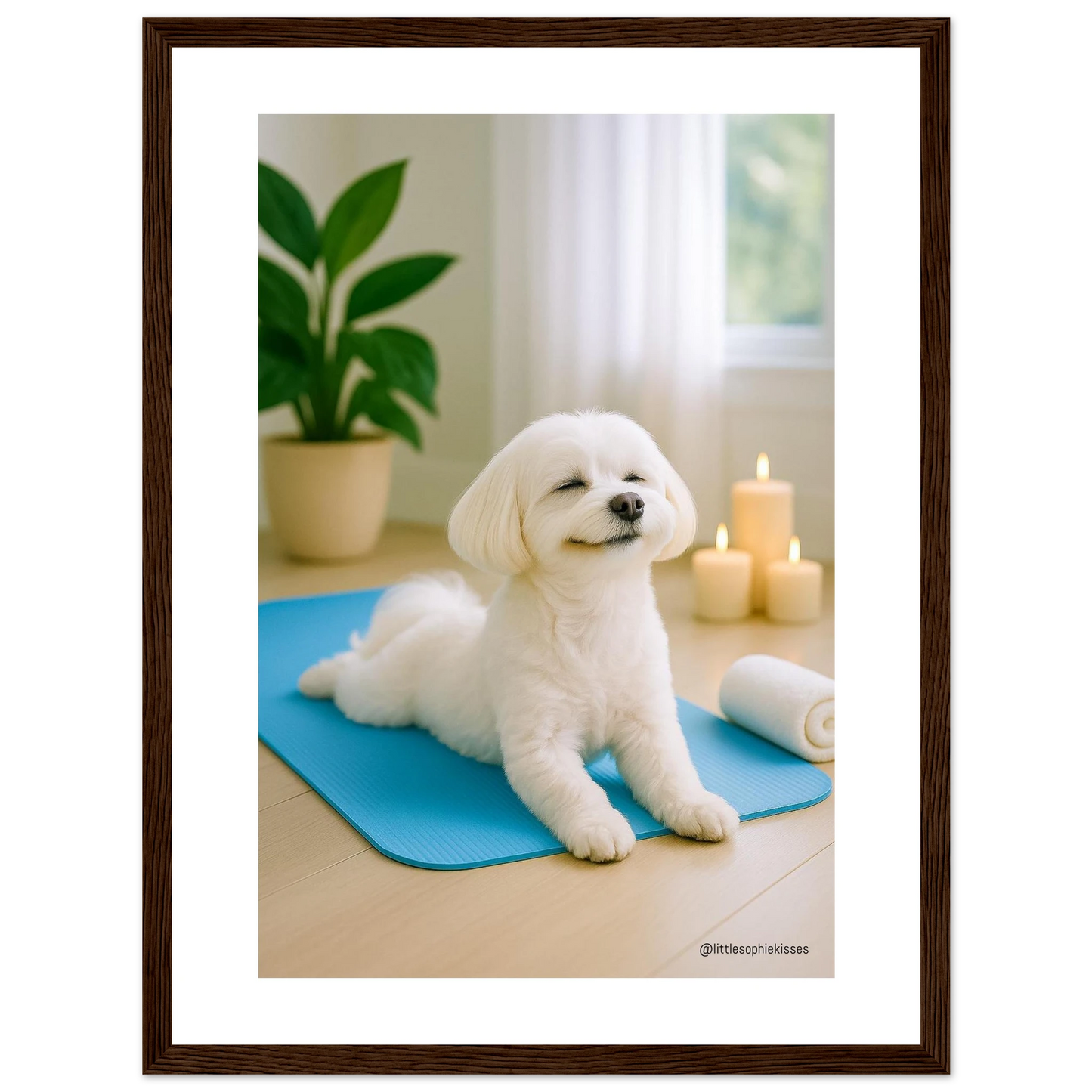 bd77f39b-a75a-4744-a94b-bd26b93320a3