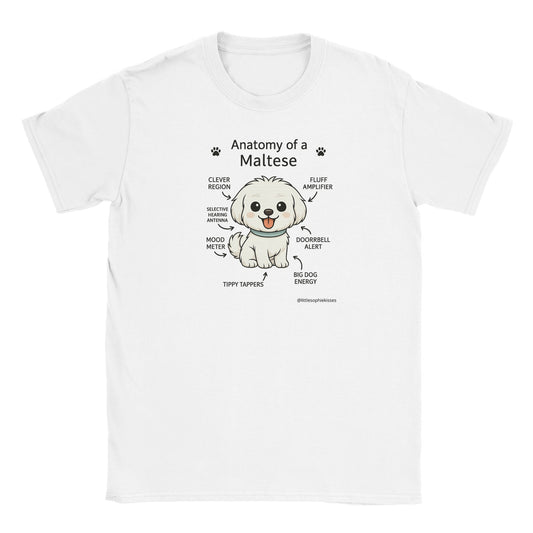 bdaa8622-d80f-4ccf-a803-814e50a03841