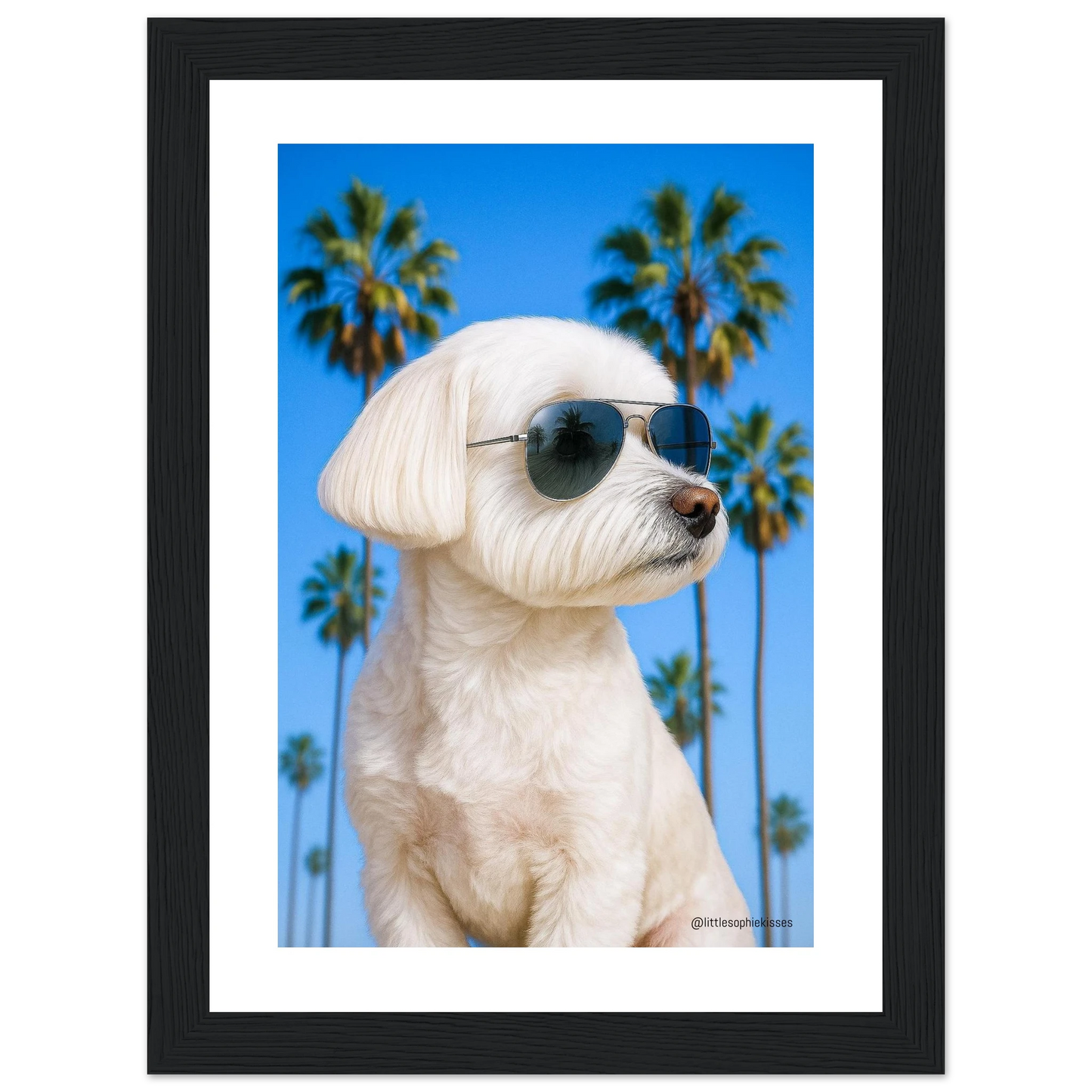 bdbbdee1-f1b7-4584-b45c-d972de637856