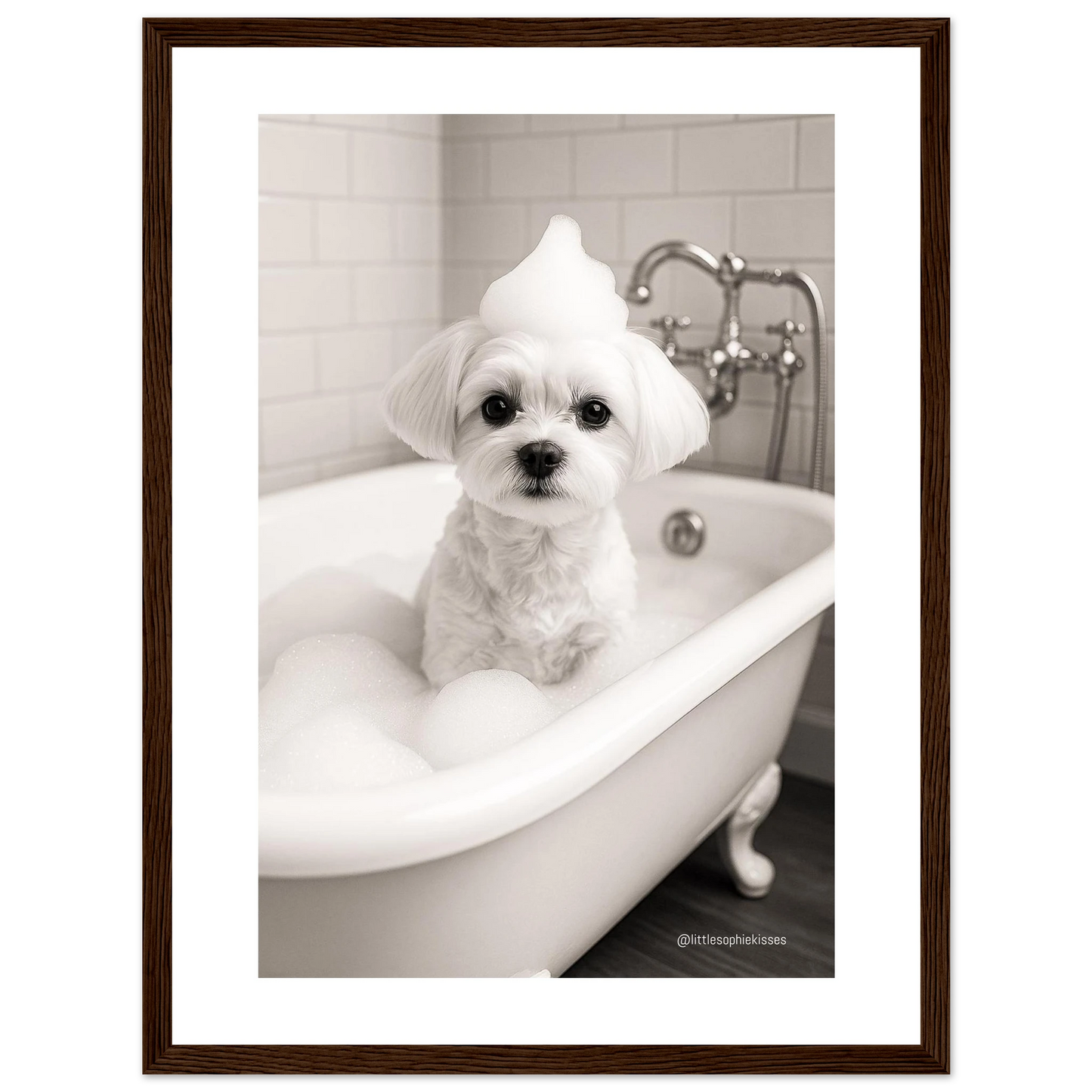 c194bba5-663e-48f9-9914-0c08cb3cd3b3