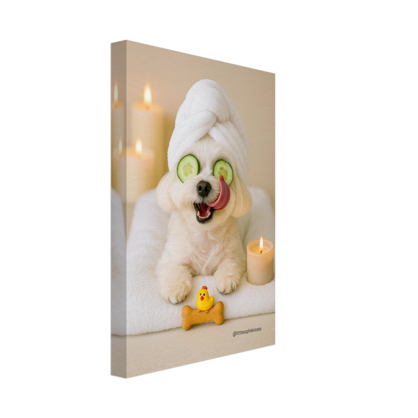 c20f9873-d7f3-4c96-9722-bedc96c4da92