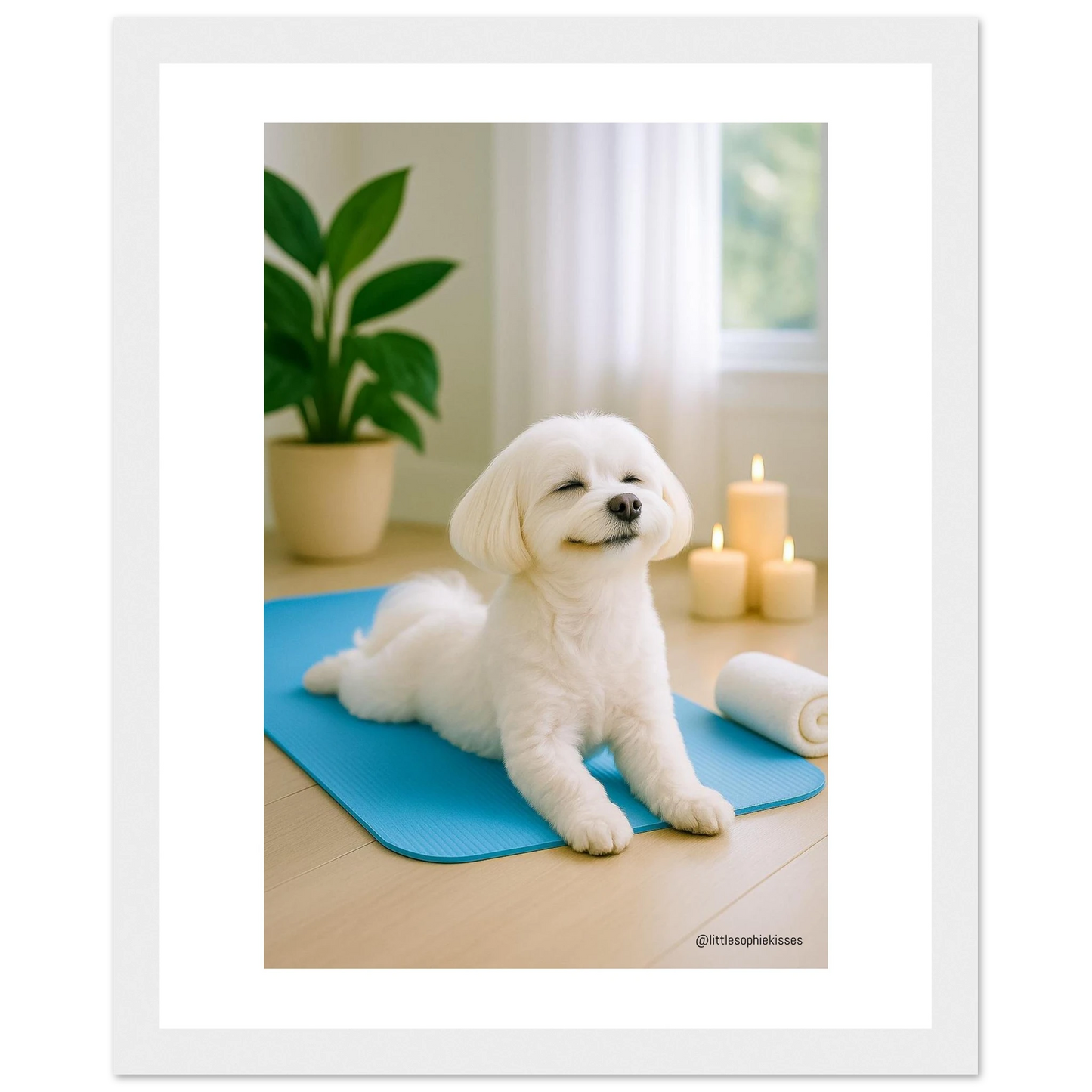 c4d7f25f-97c4-4c7e-a2a1-d13d4e07a7f5