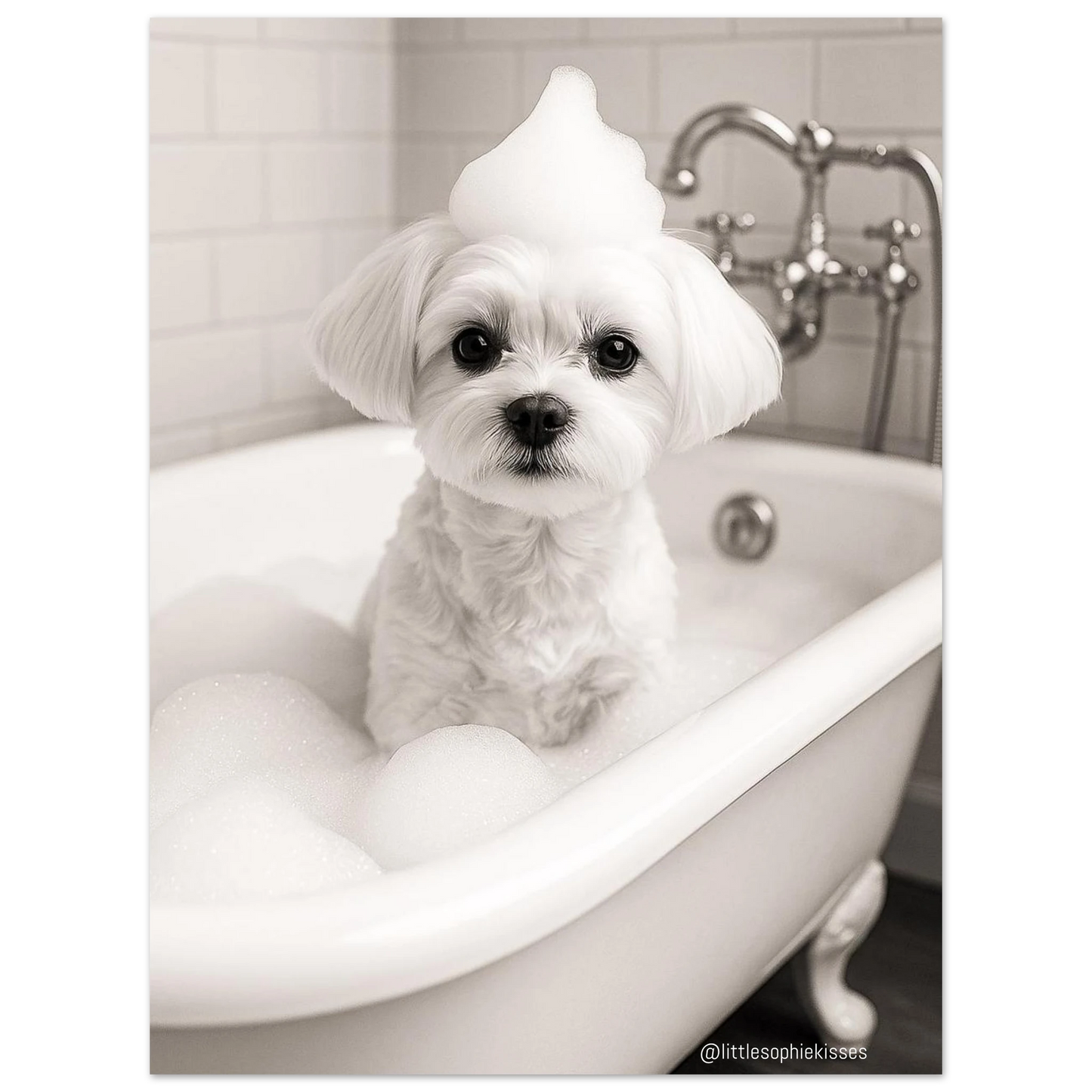 c80f28e4-7048-4a6f-814a-12fd62db41ff