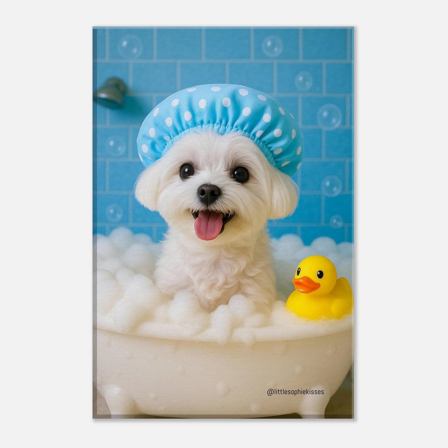 c832b34a-0169-4f62-b173-cd767c31eef1