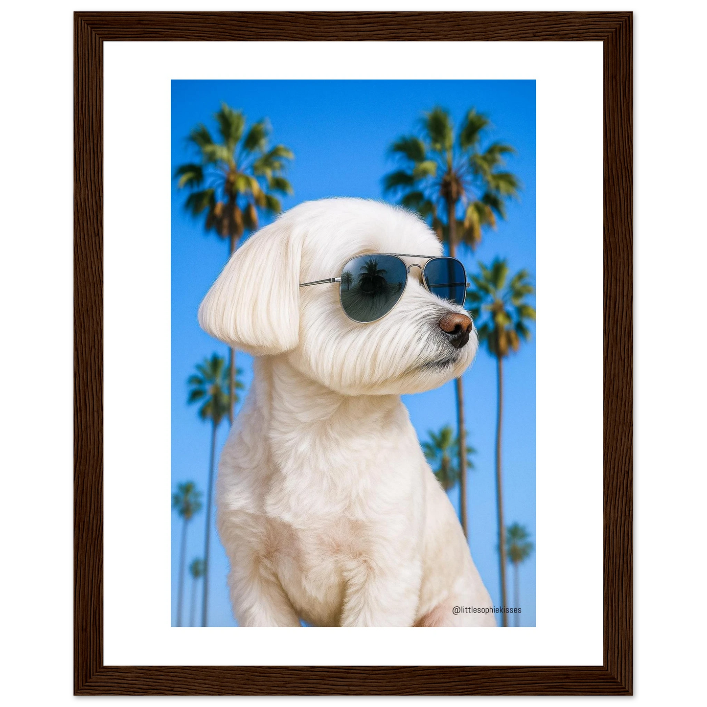 ca1eec88-cd39-41ac-be6f-3db9c095ebdf