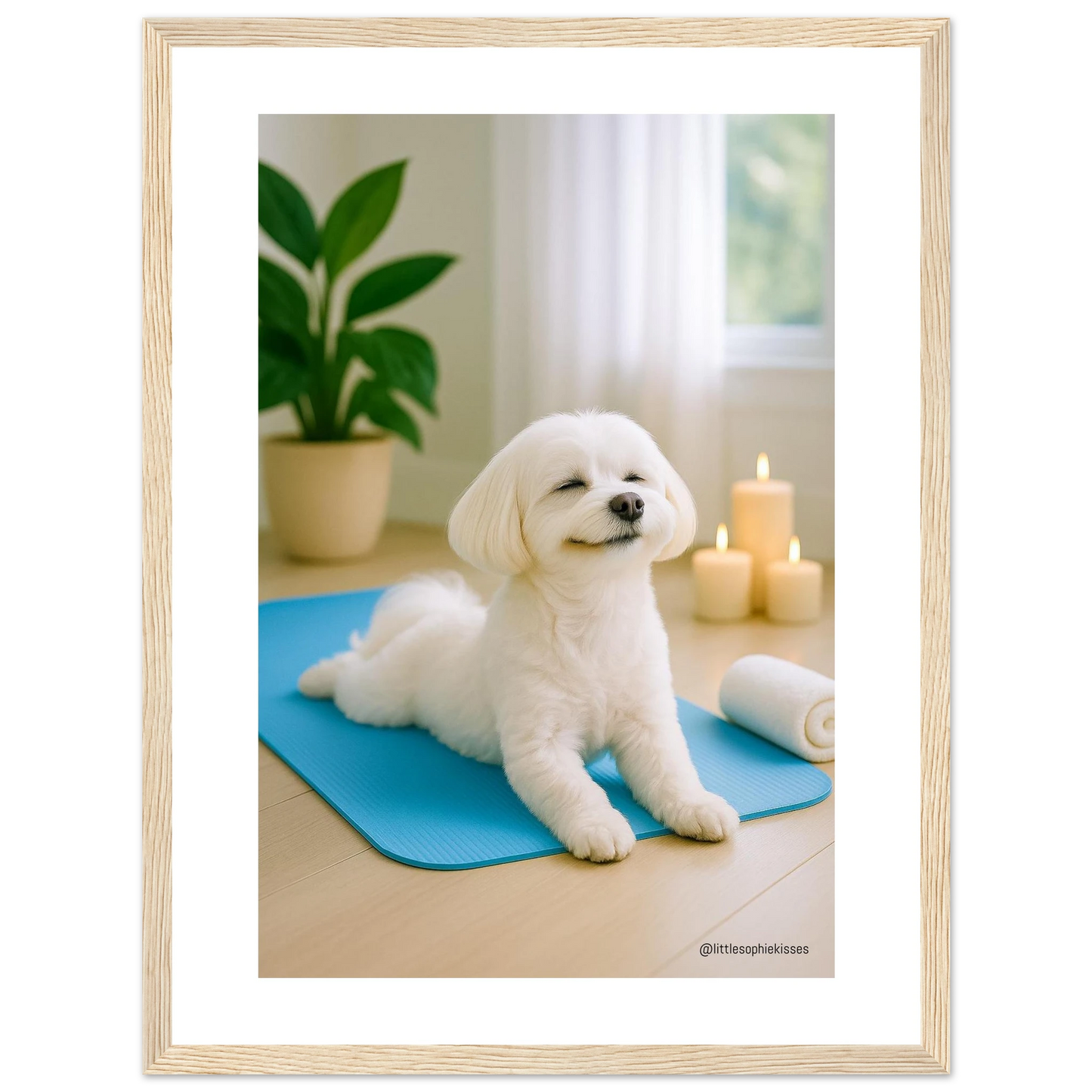 ca4821e6-a26f-46e4-9dce-01168493b130