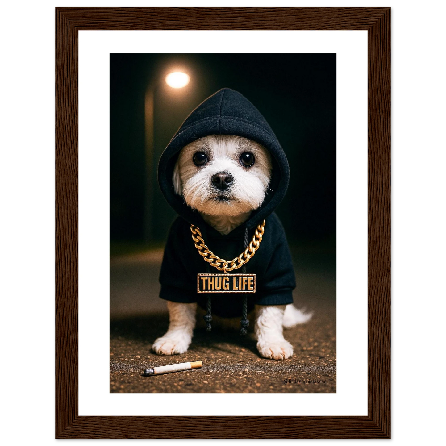 cae90a2a-5a64-494a-b4e6-ae557bafd7cb