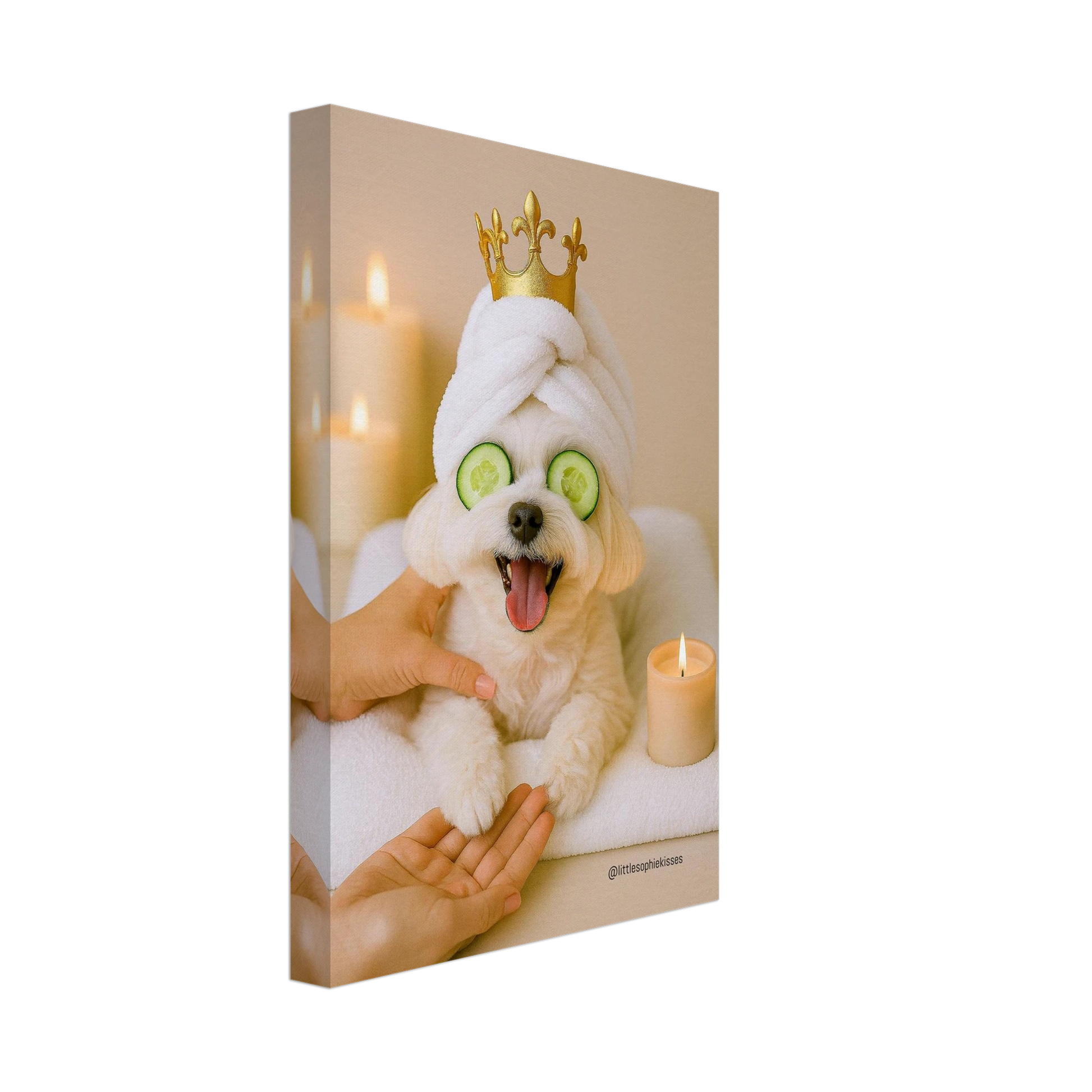 cb51361e-6e64-445c-9fc3-baad9b51976e