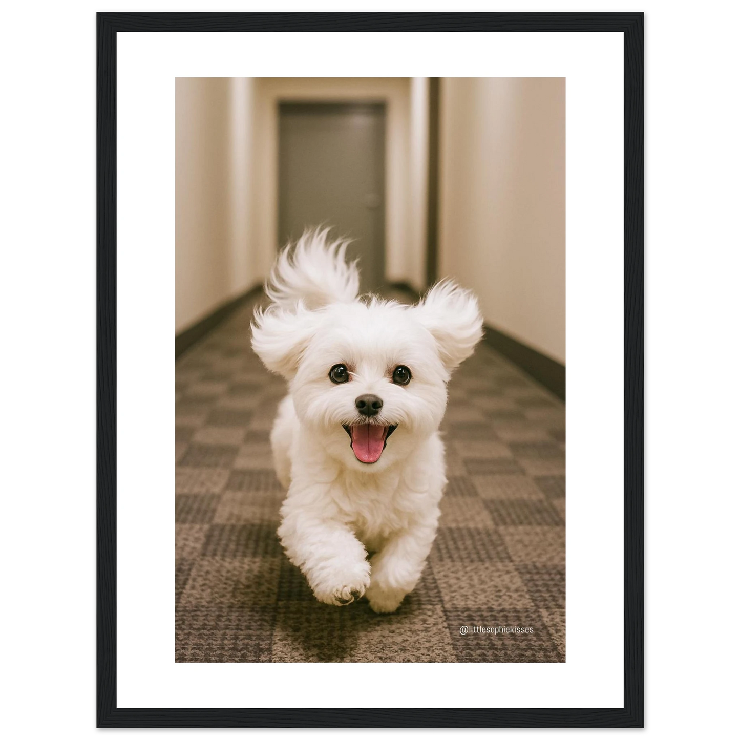 ce3a032a-d5dd-44d1-bfed-8570a89e5d8c