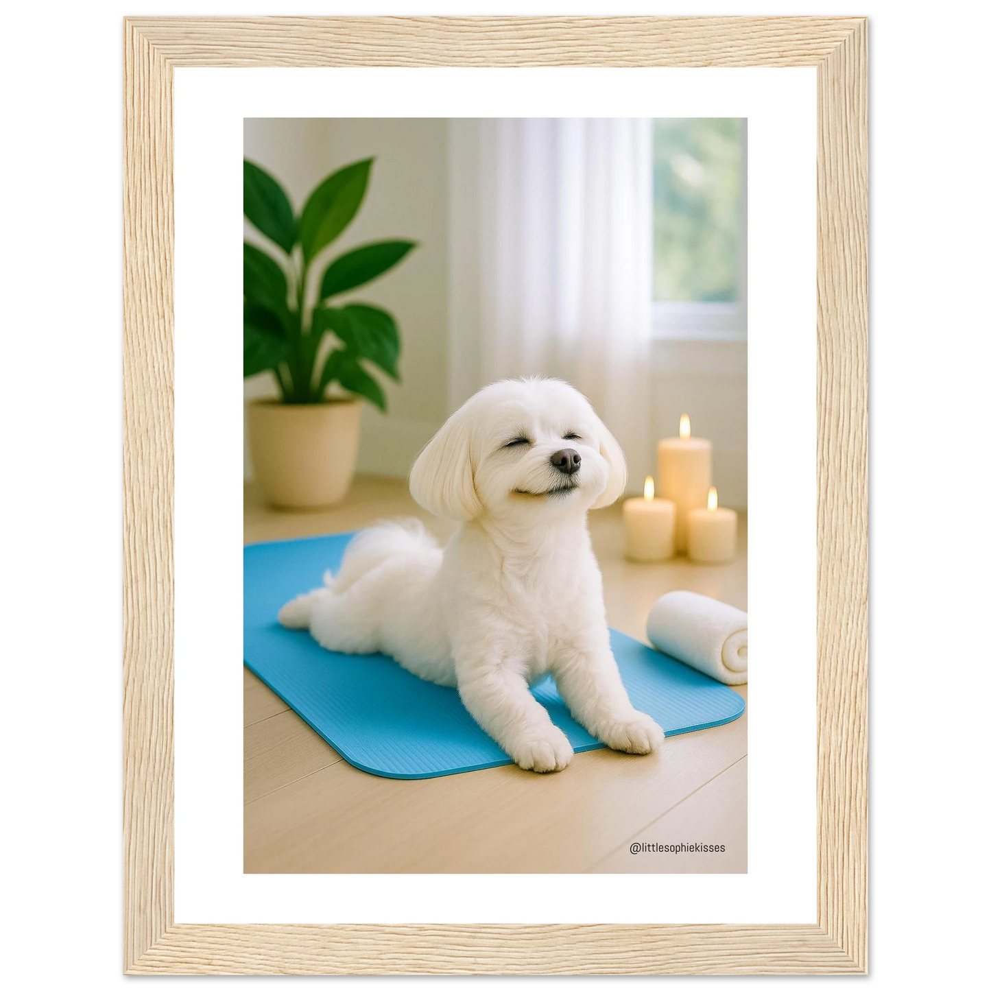 cece5ab8-66cc-4392-91bf-ae7fd7cc691e