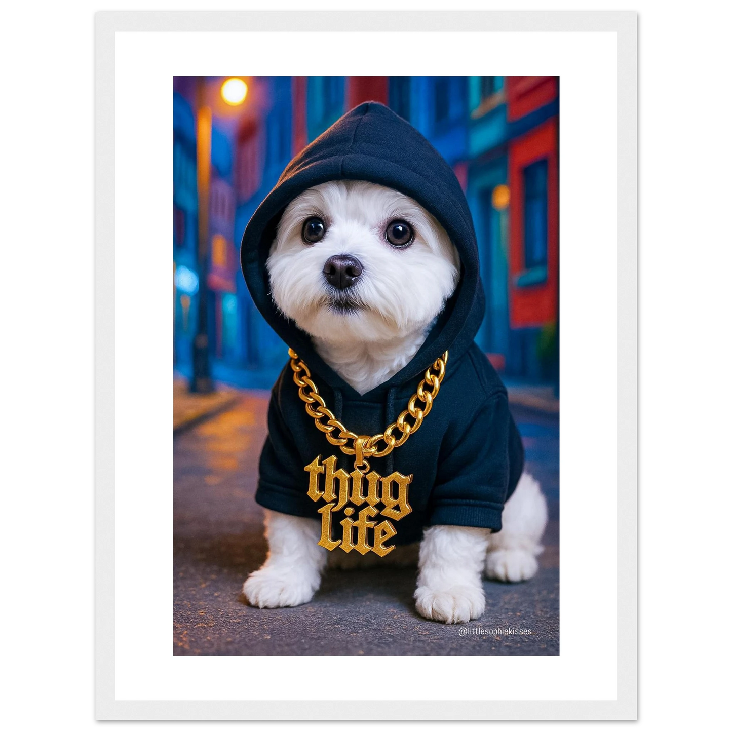 d19514bf-e7c6-46b0-851e-dc0e29c34947