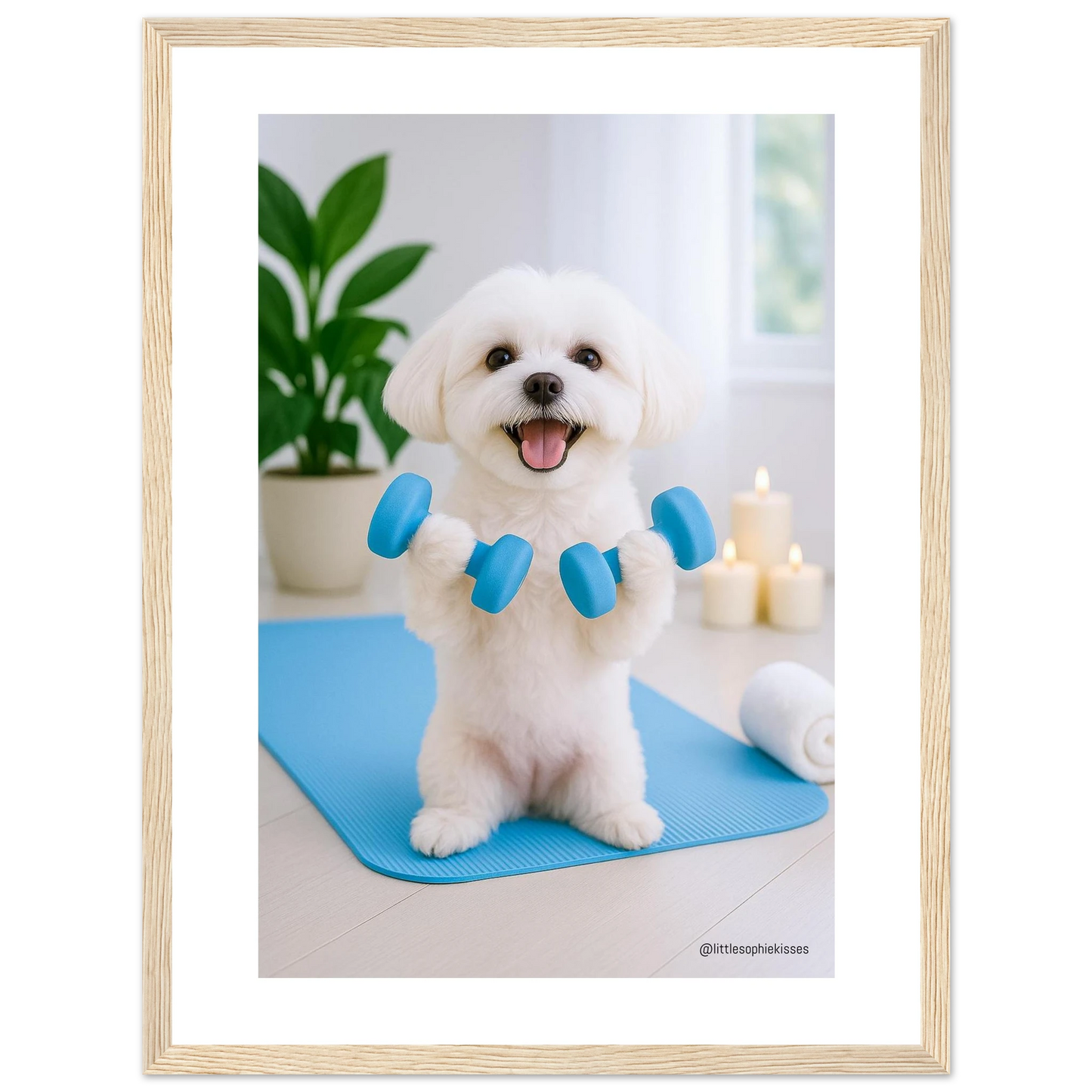 d19c043e-869c-49c6-b755-5ff159b4569d