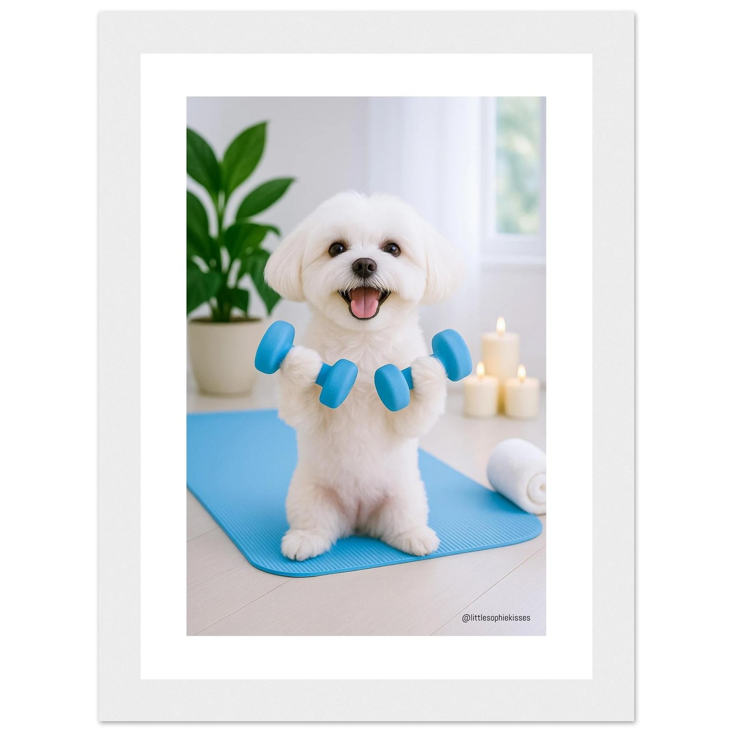 d60a2c0b-6c8c-4741-8f46-0ae733beaa4d