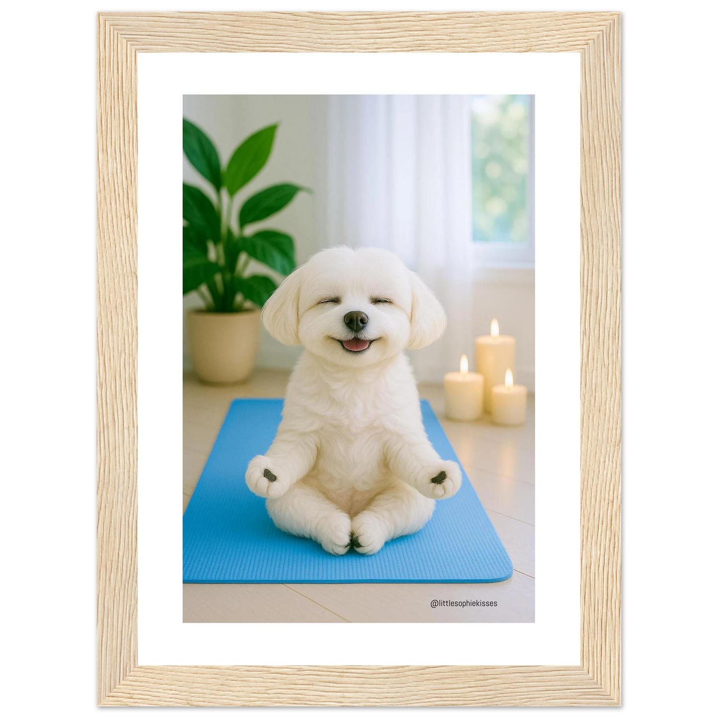 dc862d6b-4b57-4eaa-a5a0-66a7c520ec27