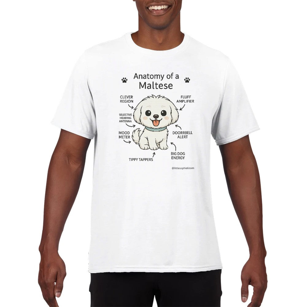 dd252d07-14dc-48a1-808a-c7916d4d9a96