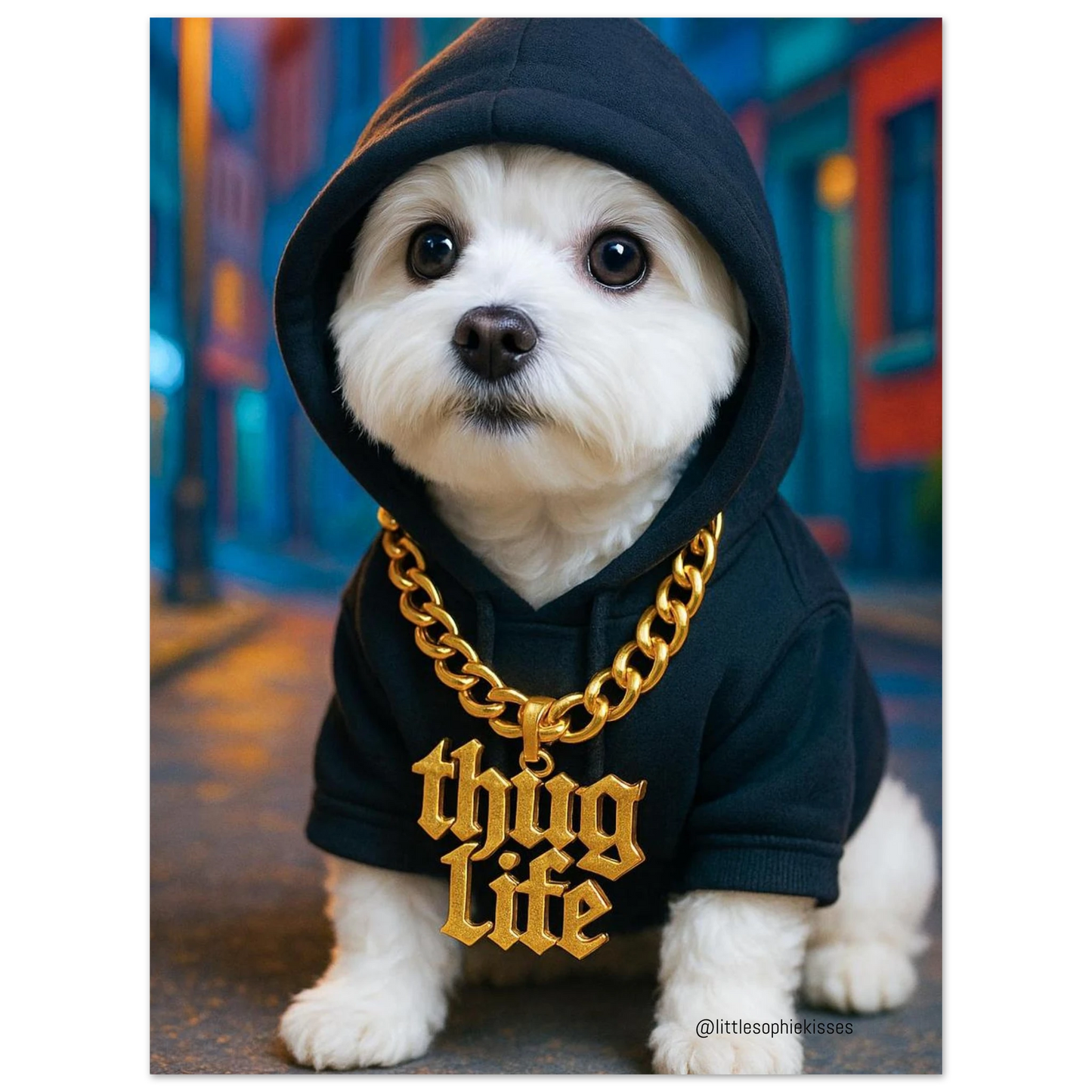 e3e2a90d-6e66-40e6-b01f-92d5228e8e0c