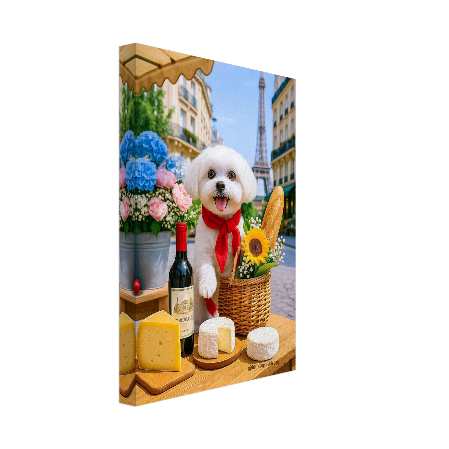 e560c0b9-33b0-4eec-8f32-ce57a3613aba