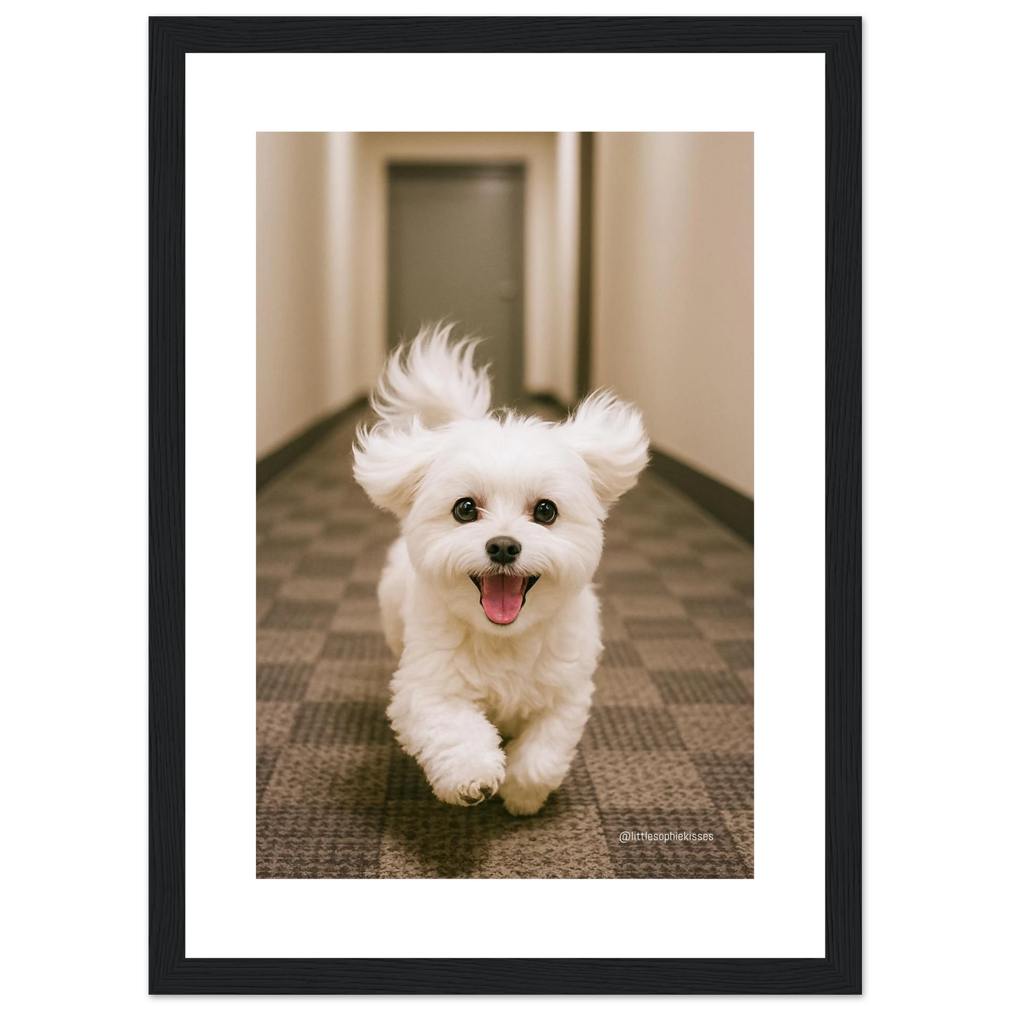 e8b5a0dc-1f0c-4f80-8eb1-fc3ad4ca37e8