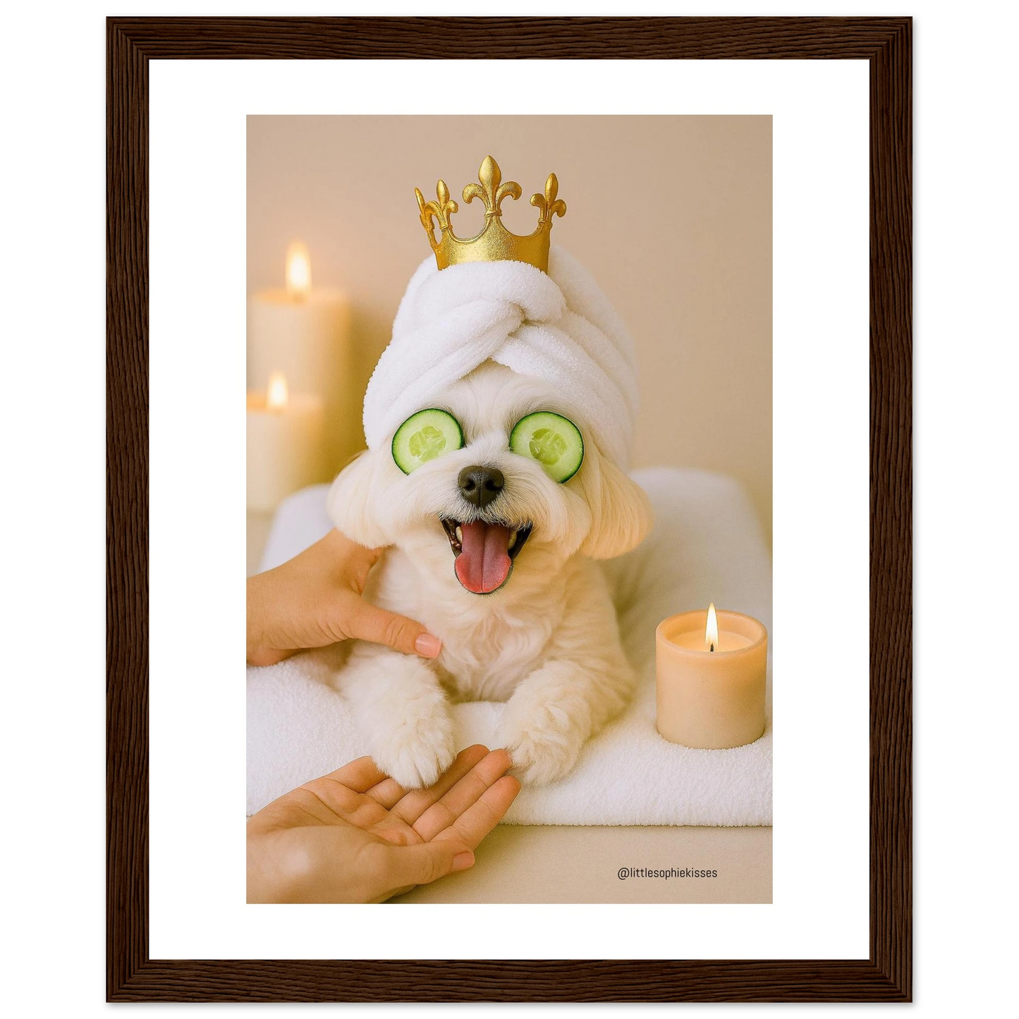 e94e1c61-69f7-4c08-90e4-727d310ddd24