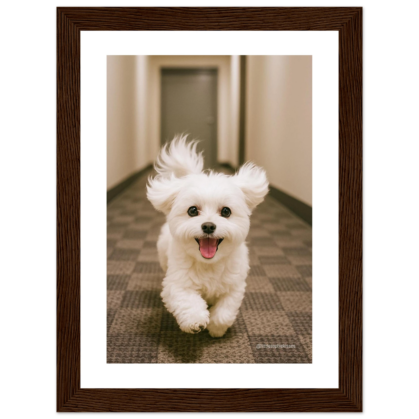 eab2a48e-0501-4a27-8162-4b1f10db7ad2