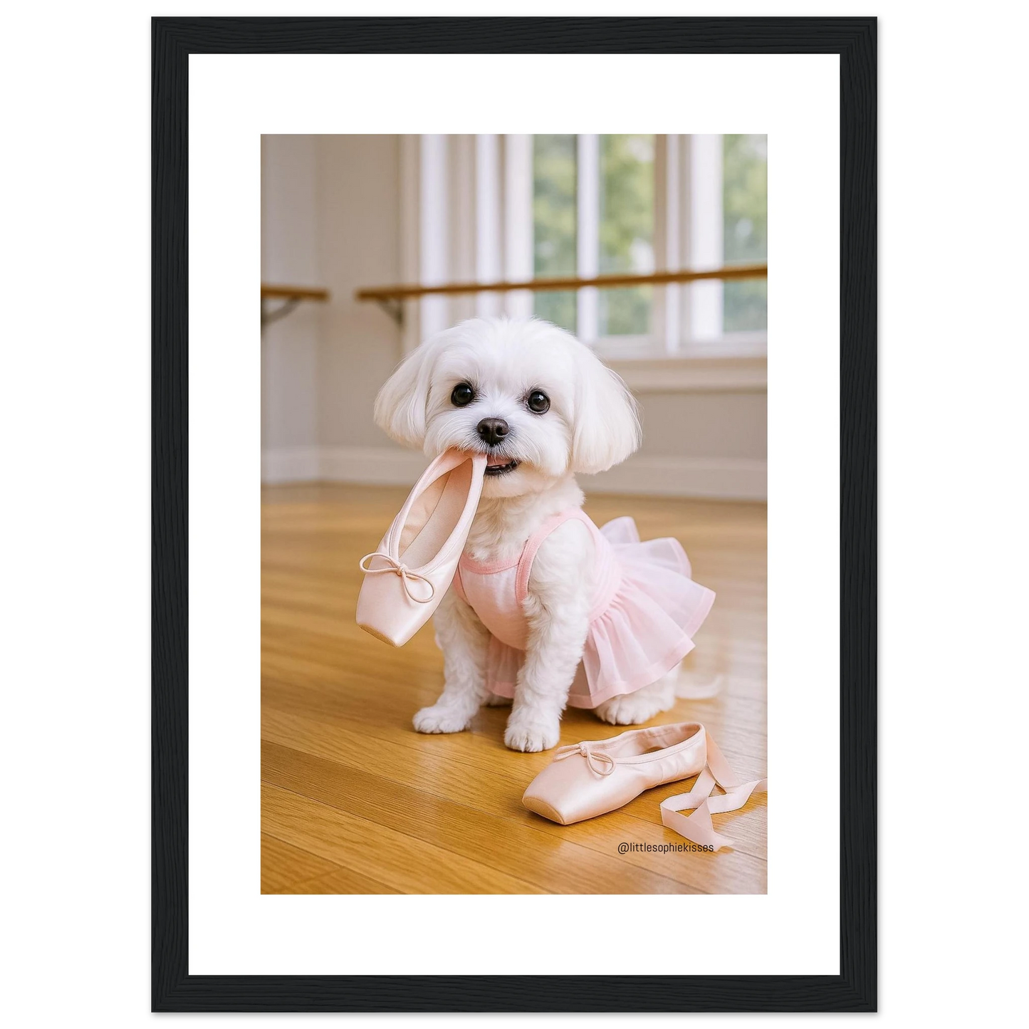 f02c2583-8d92-4be4-8dba-e96c0758fdb8