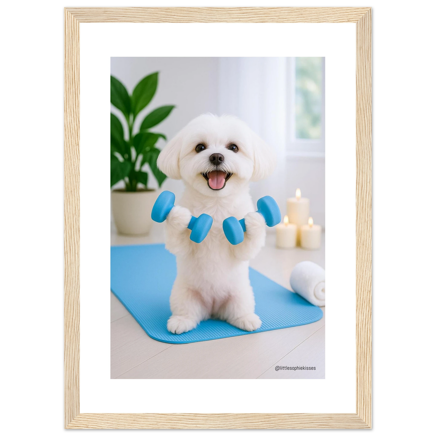 f1ecd6ed-d6d4-44c1-b5f4-cdba8fb48b19