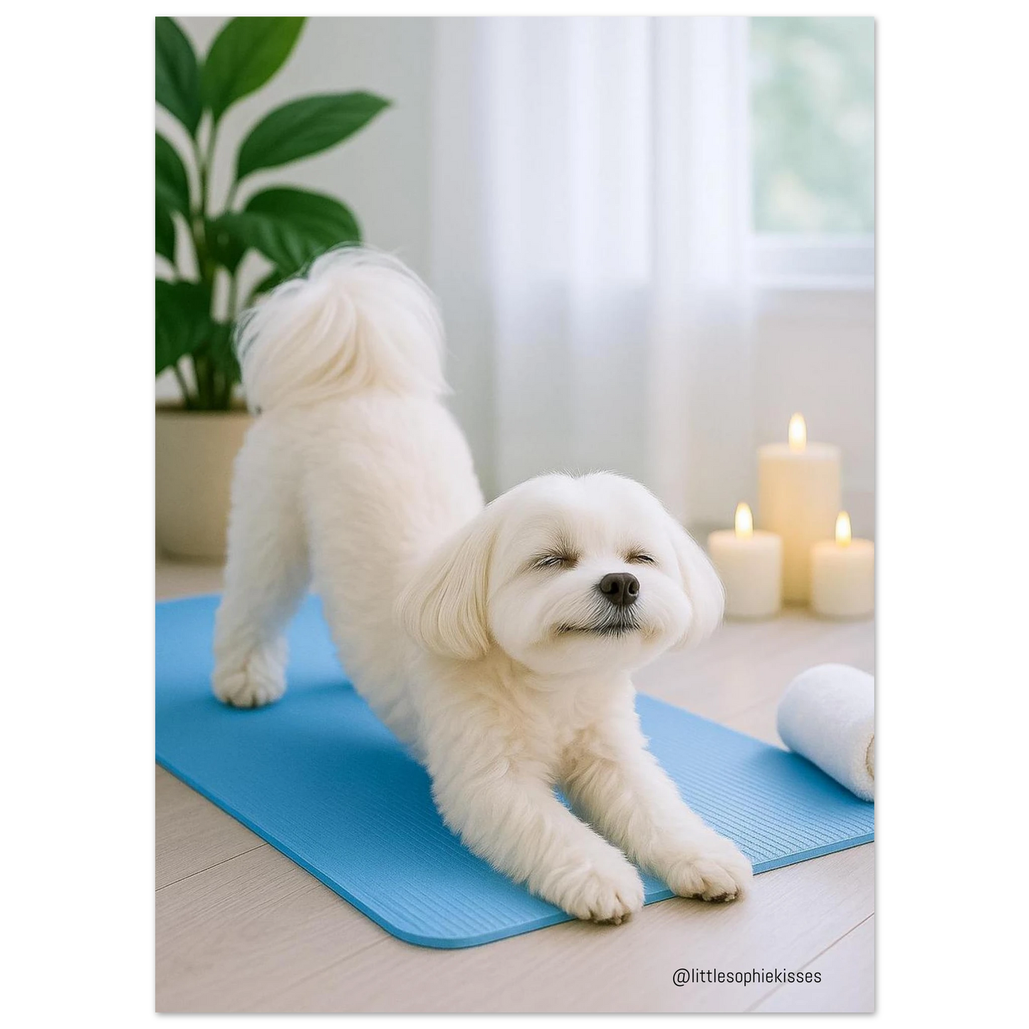 f24980d8-e839-4df8-ac34-94305a1131cb