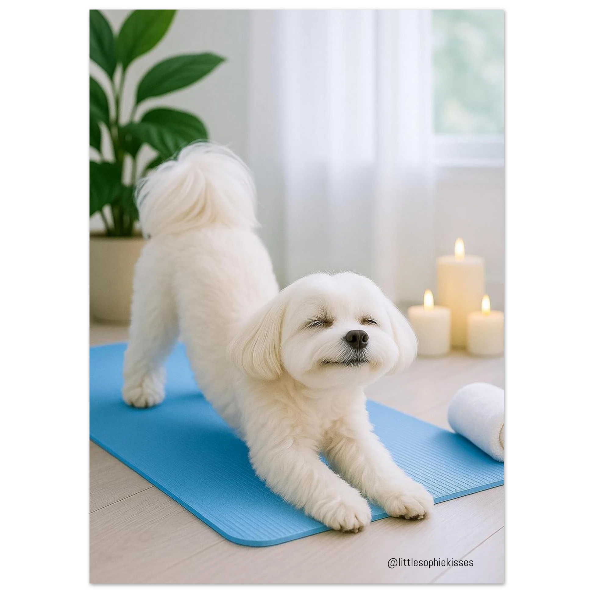 f24980d8-e839-4df8-ac34-94305a1131cb