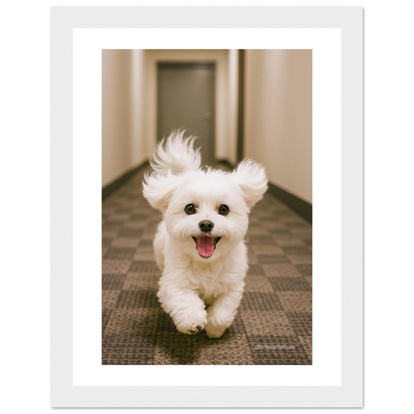 f2791ae2-2405-416c-b299-fc19ff24fbf1