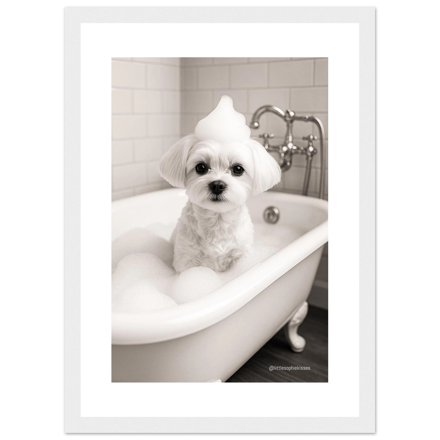 fbd19243-59bb-4709-89f9-8882959c538b